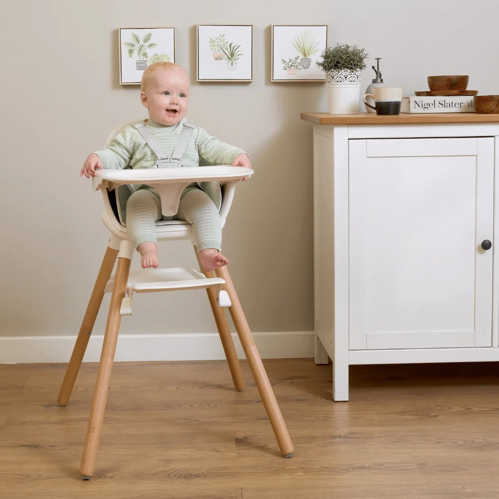 6 in 1 High Chair - Image 4